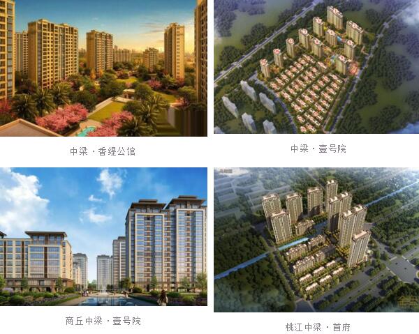 中梁地產(chǎn)集團(tuán)