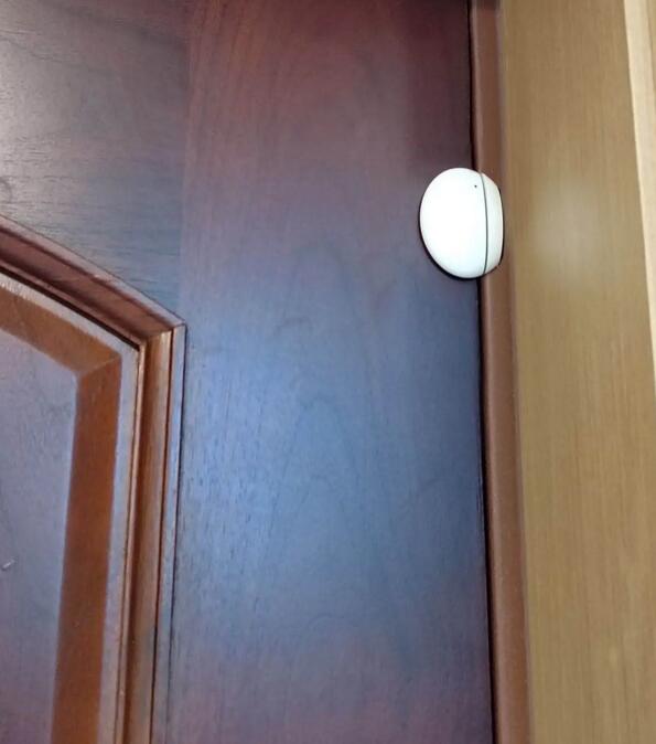 門磁探測(cè)器