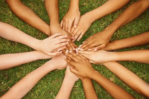 聚焦三農(nóng)，心系農(nóng)情