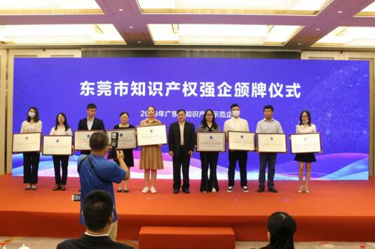 榮獲廣東省知識(shí)產(chǎn)權(quán)示范企業(yè)