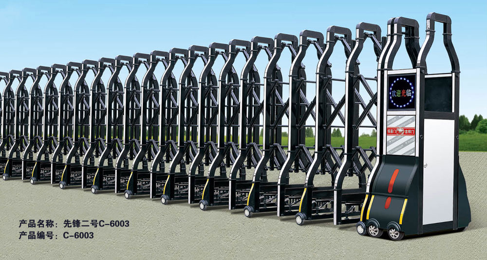 電動(dòng)伸縮門(mén) - 先鋒二號(hào)C-6003