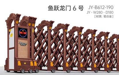 其他 - 魚躍龍門6號