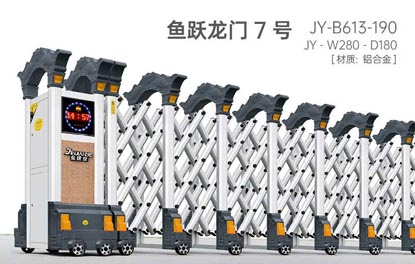 其他 - 魚躍龍門7號