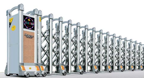 招財(cái)進(jìn)寶9號(hào)