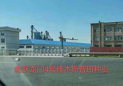 魚躍龍門工程案例