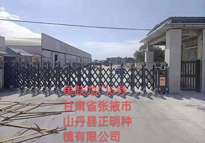 甘肅省張掖市山丹縣正明種植有限公司