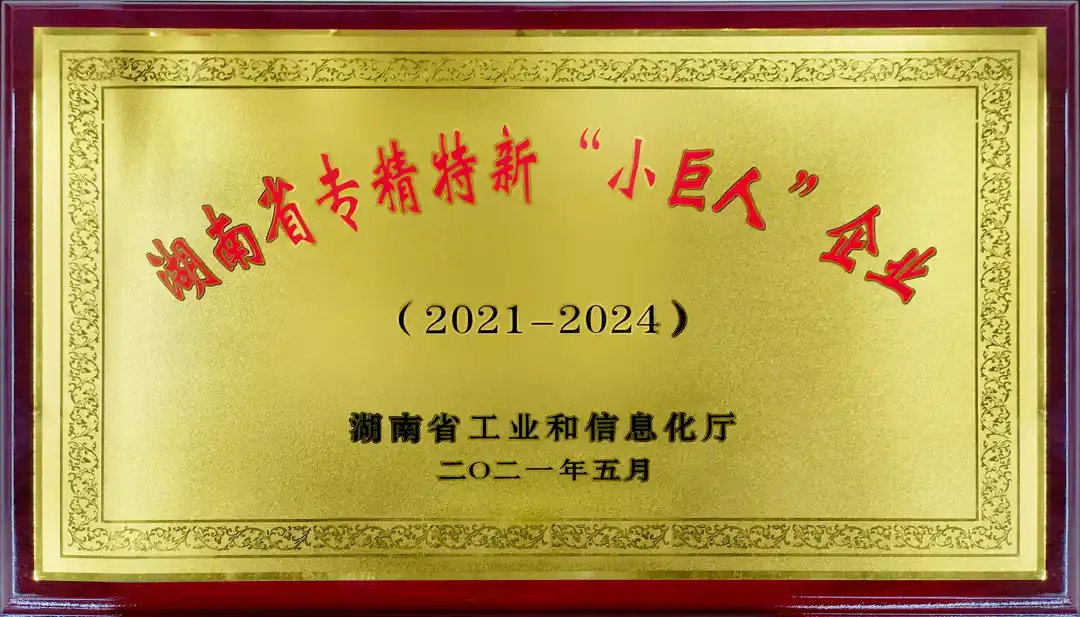 湘聯(lián)股份榮獲湖南省專新特新“小巨人”企業(yè)