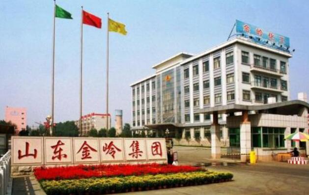 東營出安智能為山東金嶺集團(tuán)有限公司添加卷簾門