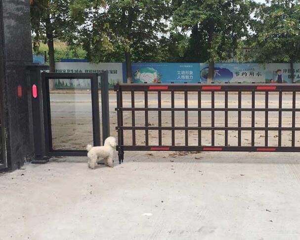 廣東省東莞市常平鎮(zhèn)木棆村環(huán)常北路 - 中出網(wǎng)-智能出入口與停車充電門戶