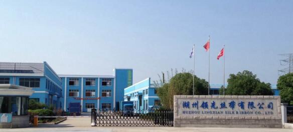 湖州領先絲帶有限公司選用湖州出安智能電動伸縮門彰顯個性