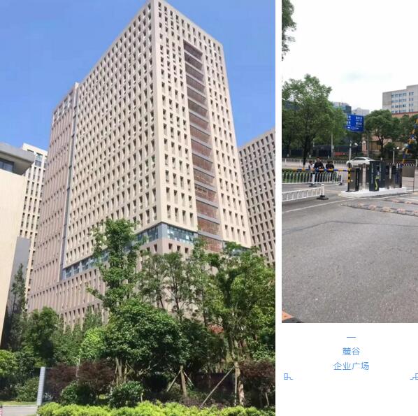 麓谷企業(yè)廣場