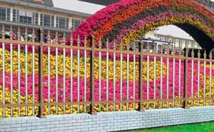 寧德恒大御景半島鋁藝護(hù)欄案例