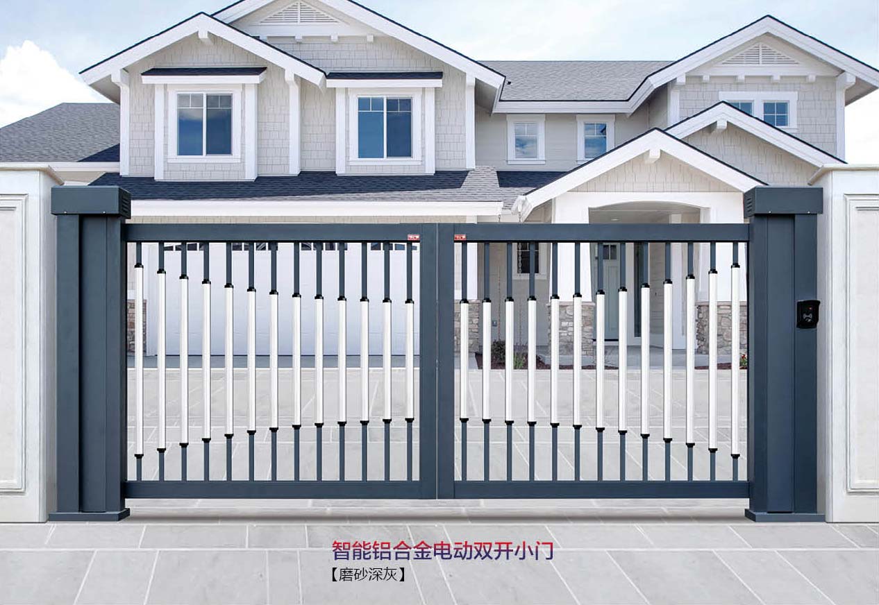智能鋁合金電動(dòng)雙開小門 SK-02GY