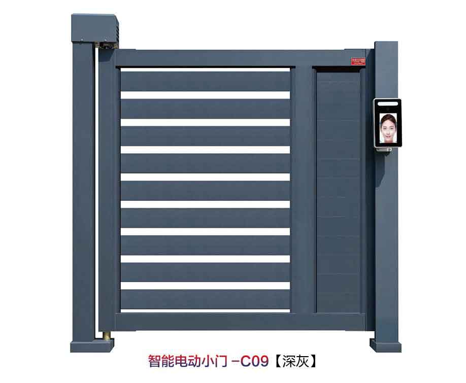 智能電動小門C09