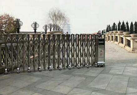 岱美銀河灣選用舟山出安智能伸縮門彰顯個性