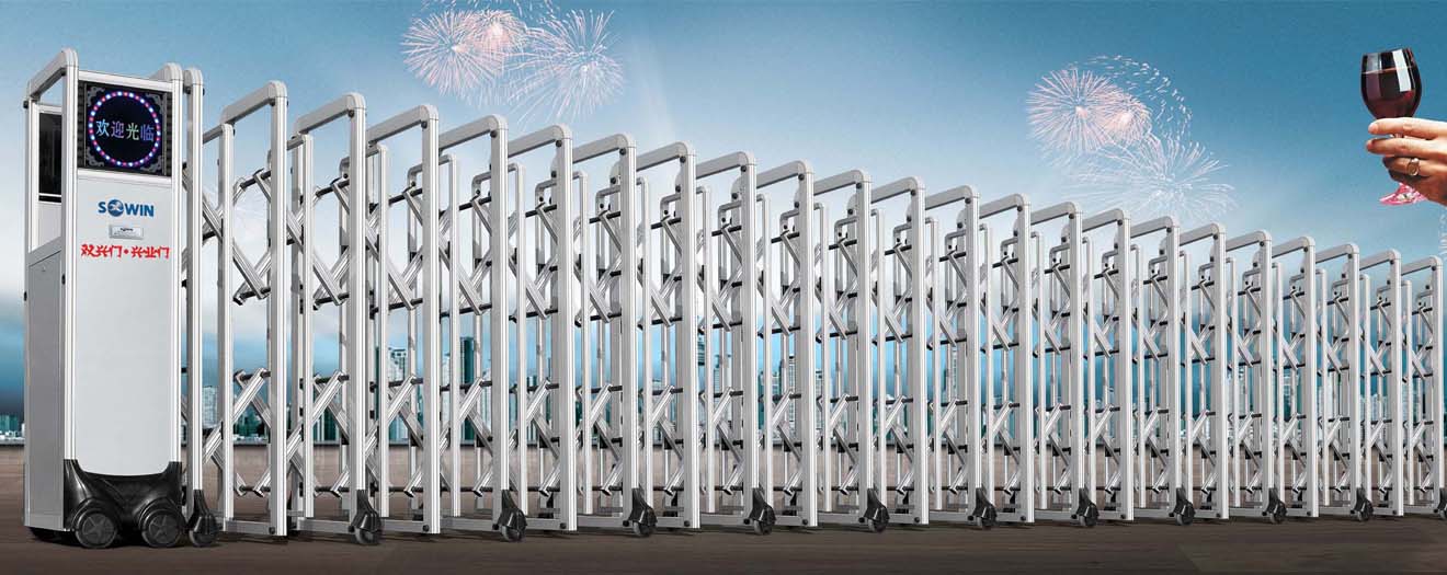 靚麗 (型號:SX-001Y-D)