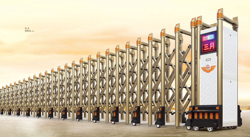 雅系3800F型（香檳）