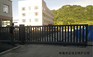 樺甸市達頂土特產(chǎn)公司平移門