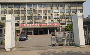 淮南市大通區(qū)人民政府-梟龍806