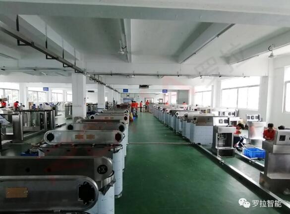 羅拉智能速通門