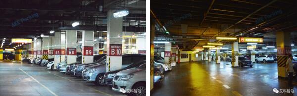 項(xiàng)目實(shí)拍