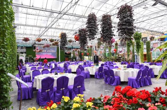 攜手筑夢，與艾同行 —— 2018艾科智泊年度表彰大會暨迎春晚會！