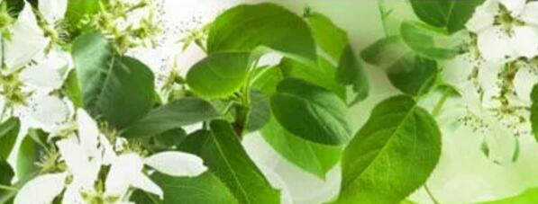 萬物復(fù)蘇春回大地