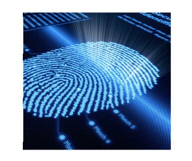 光學(xué)指紋讀頭