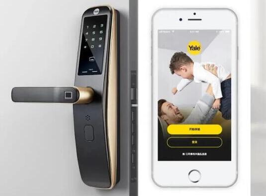 亞薩合萊2020年上半年動態(tài)