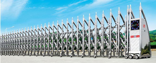 忠誠(chéng)衛(wèi)士-A不銹鋼電動(dòng)門