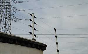 廈門金磚會(huì)議電子圍欄案例