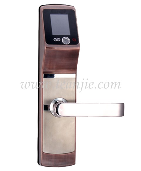 人臉識(shí)別鎖-紅古銅