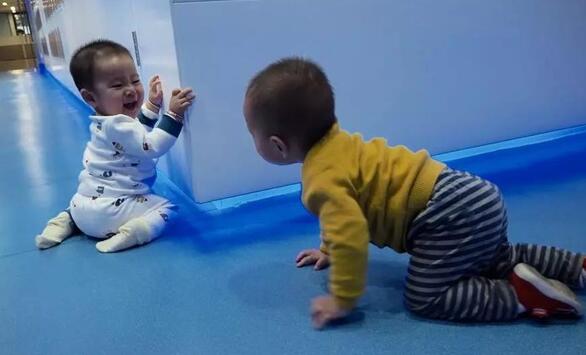 這是玩起了爬行大賽還是躲貓貓呢？開心就好！